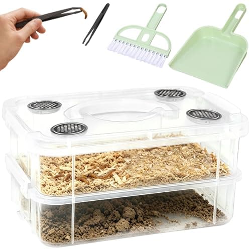 Order Extra Large Dubia Roaches | ABDragons