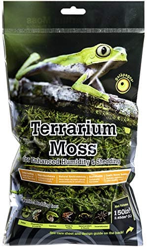 Mousse de sphaigne pour terrarium des Galápagos