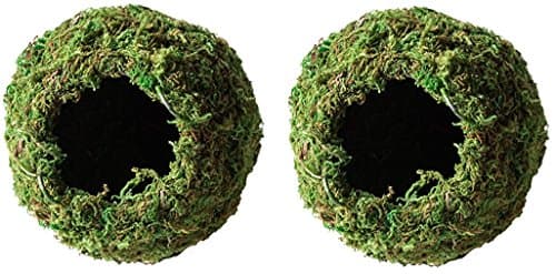Galapagos Mossy Dome/Hide/Cave, Green, 6" Diameter - ReptilesRuS
