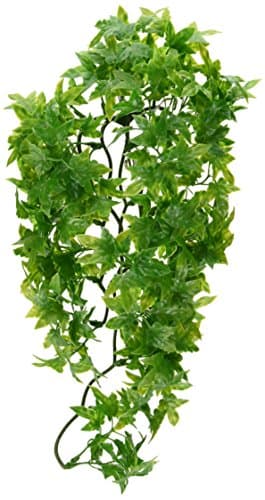 Zoo Med Natural Bush Plants - Mexican Phyllo For Reptile Enclosures 1S ...