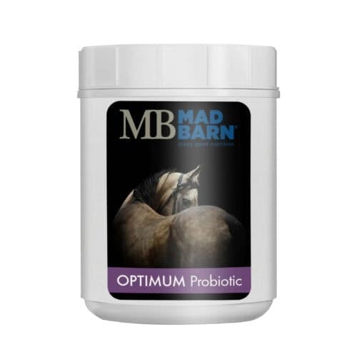 Best Electrolyte Supplements for Horses: A How-To Guide | Mad Barn