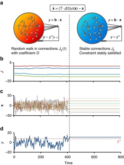 Exploratory adaptation in large random networks | Nature ...