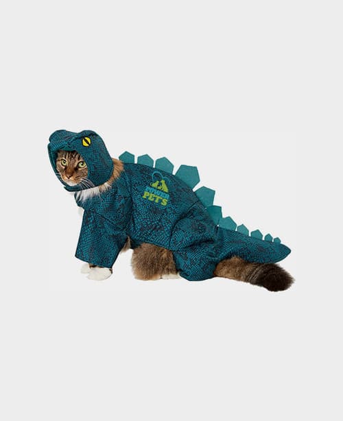 Frisco Stegosaurus Dinosaur Dog & Cat Costume - Powerpetclub