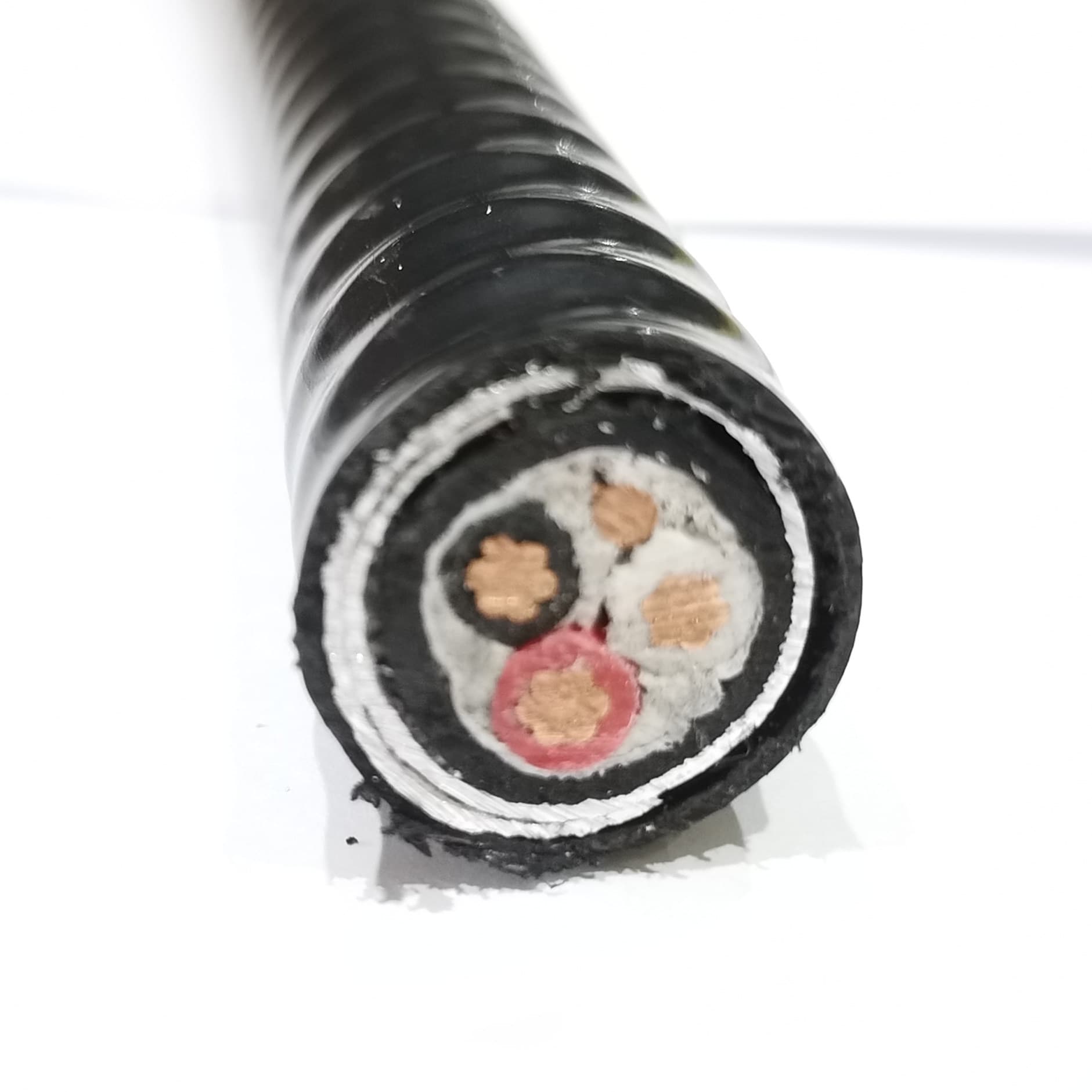 Canadian Building Wire 12/4 Teck90 Interlocked Armoured Cable XLPE Type ...