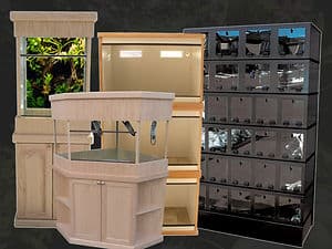 Cornel's World Custom Terrariums & Woodwoorking | Calgary