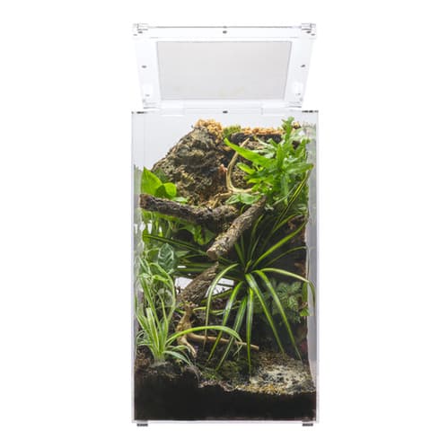 Acrylic Top-Opening Enclosure - Large | HerpCult