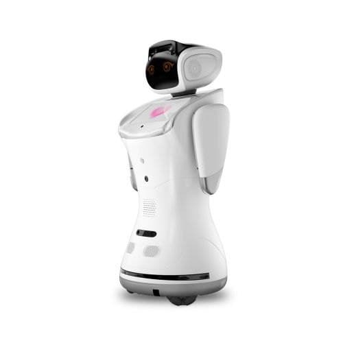 Sanbot Elf 900 Mm Humanoid Robot (milagrow) Warranty: 1 at Best Price ...
