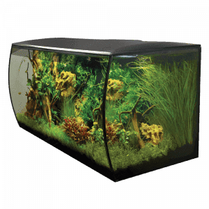 Fluval FLEX Aquarium Kit 123L - Bespoke Aquariums