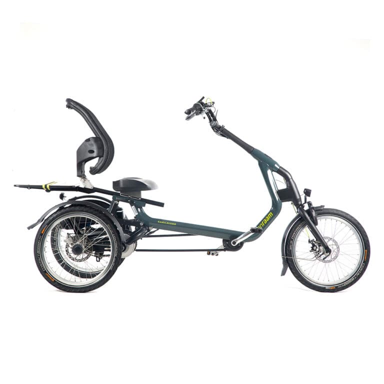 van Raam Easy Rider 3 Occasion - Elektrische lage instap- en ...