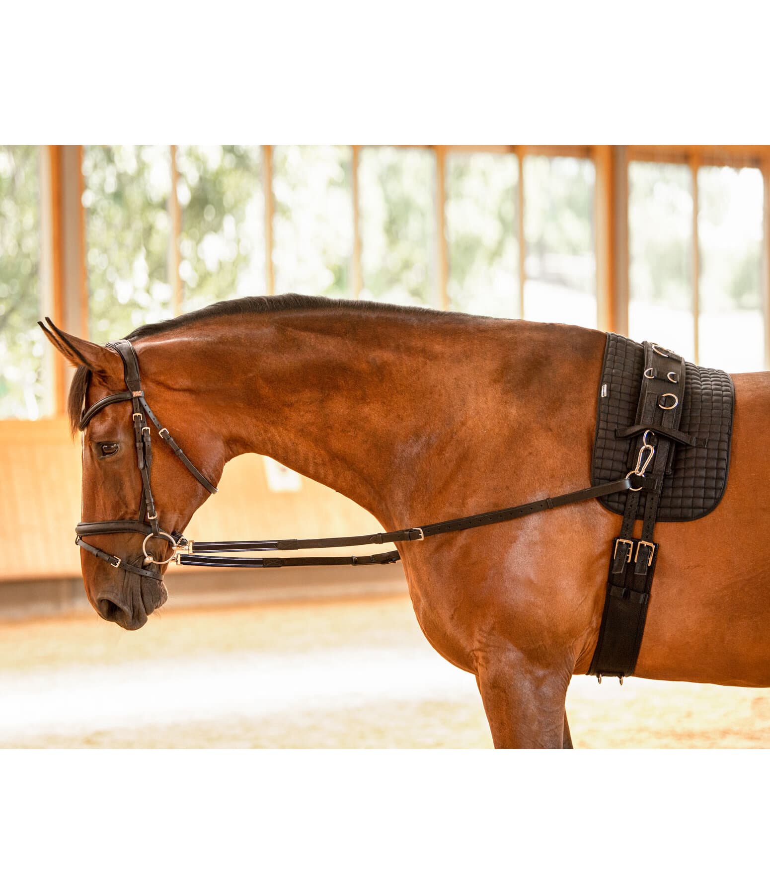 Leather Side Reins - Training Aids - Kramer Equestrian