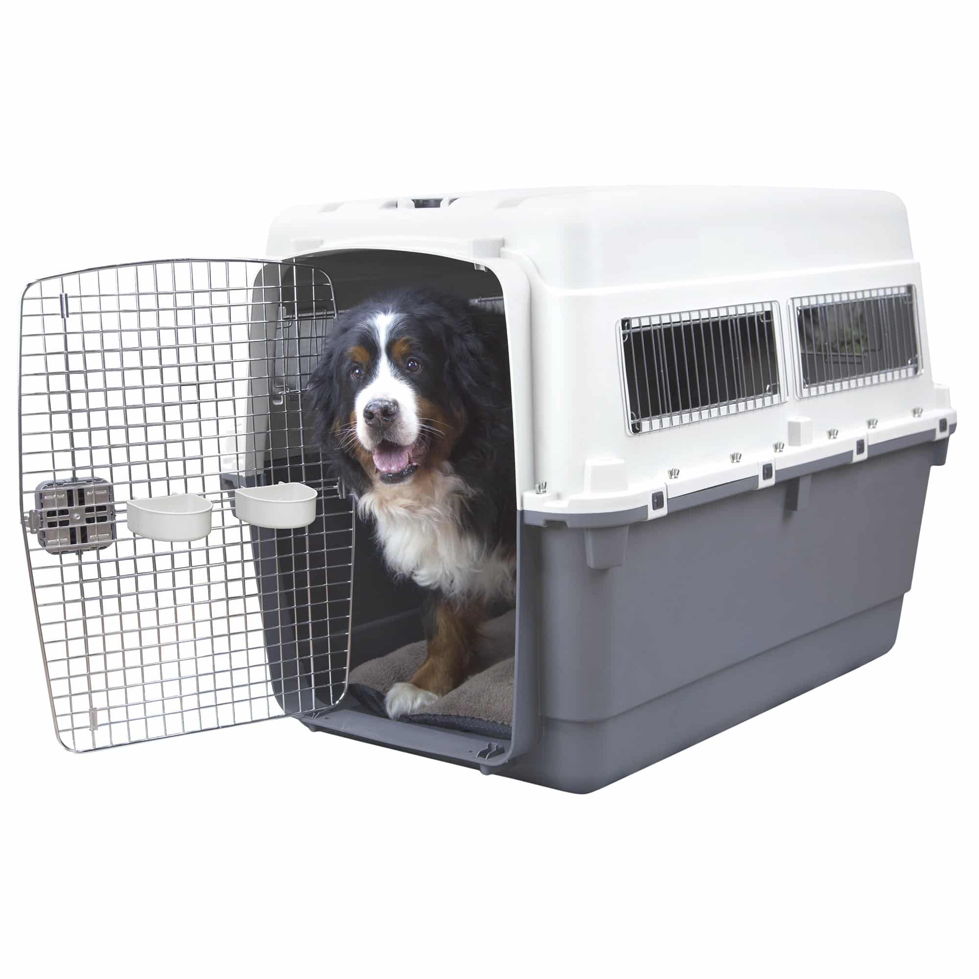 Extra large dog travel crate online