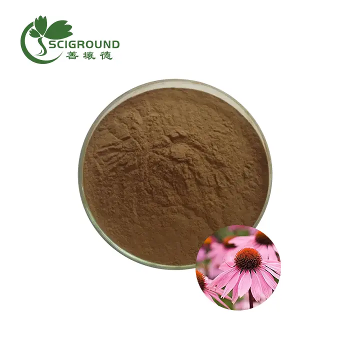 Echinacea Purpurea Extract - Scigroundbio