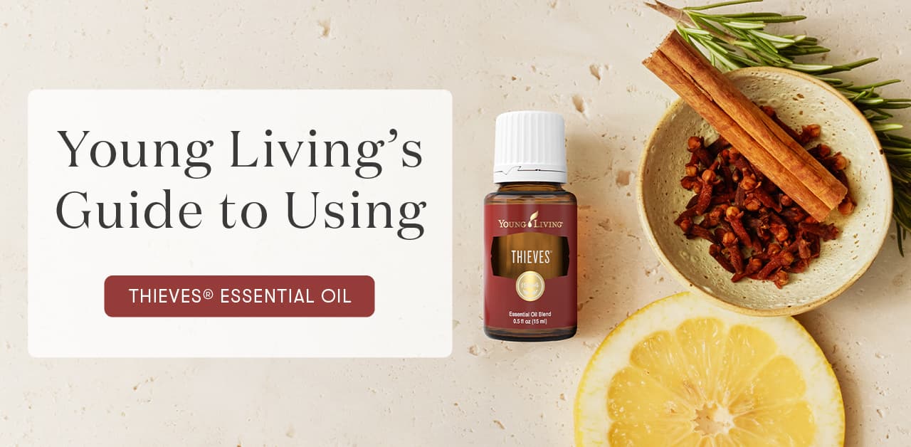 The Power Of Thieves Oil. How To Use Young Living Thieves ...